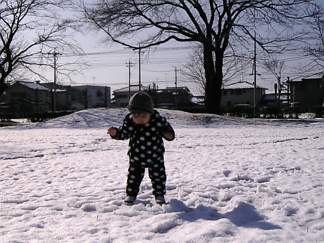 c0003217_23392979.jpg