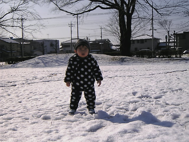 c0003217_23394526.jpg