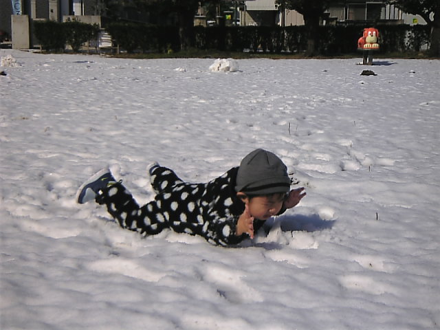 c0003217_23405770.jpg