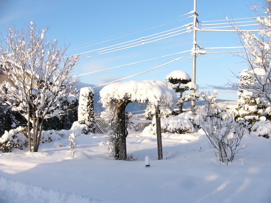 d0183417_224981.jpg