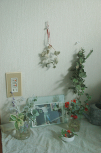 f0217217_1734151.jpg