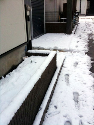 e0019320_16551020.jpg