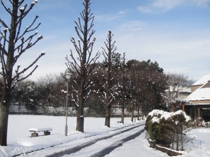b0044825_93645100.jpg