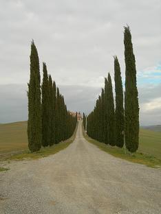 b0129725_16232827.jpg
