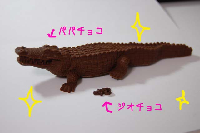 c0218031_1203278.jpg