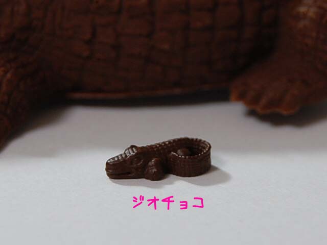c0218031_1214270.jpg