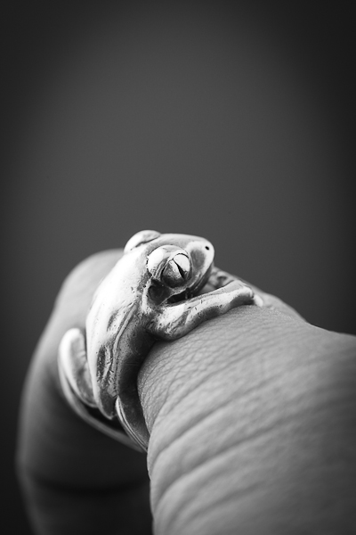 f0214531_16145220.jpg