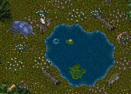 c0184233_2373466.jpg