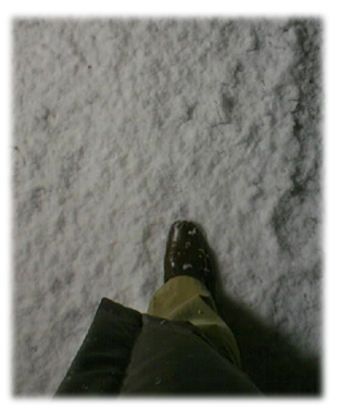 f0034334_1046253.jpg