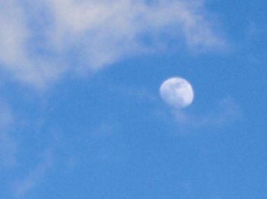 d0093936_1743489.jpg