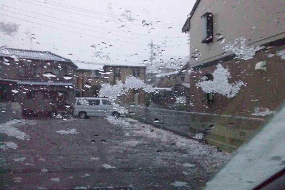 b0102639_9542786.jpg