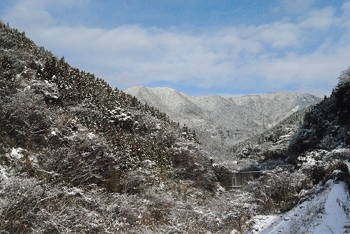a0048040_10351464.jpg