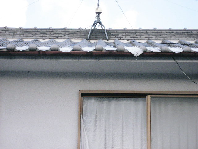 a0149240_10314294.jpg