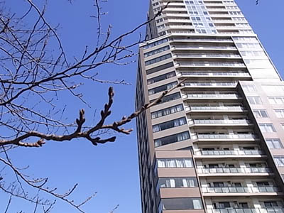 b0019140_15213274.jpg