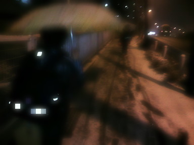 c0077741_135874.jpg