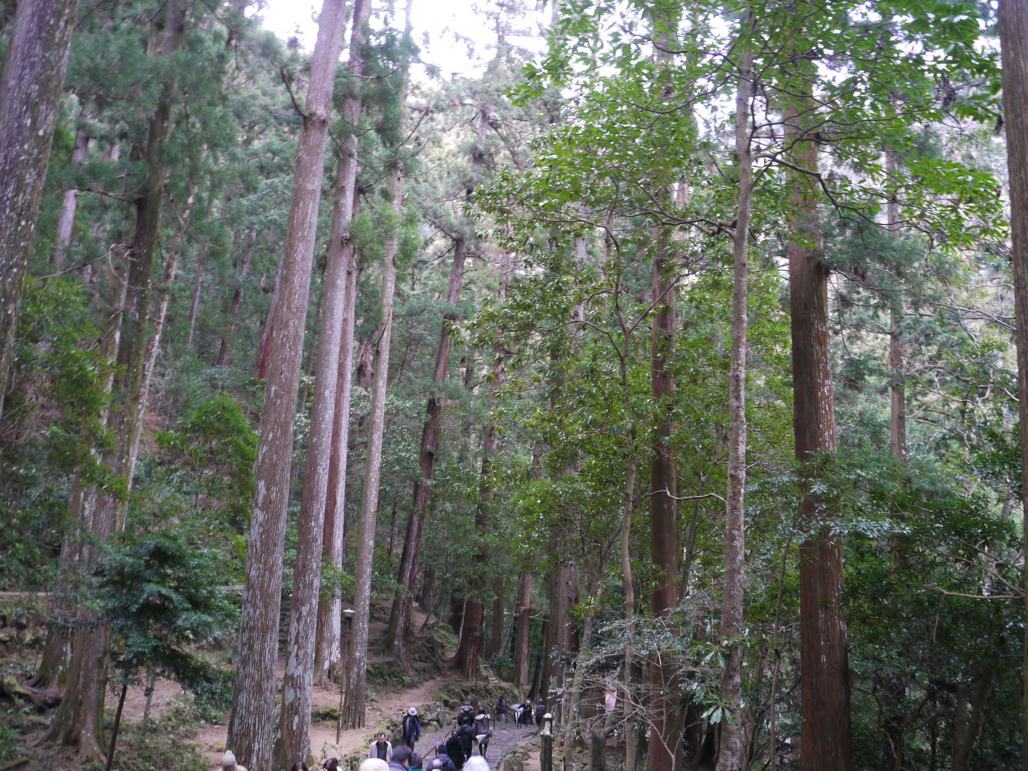 b0190242_23492338.jpg