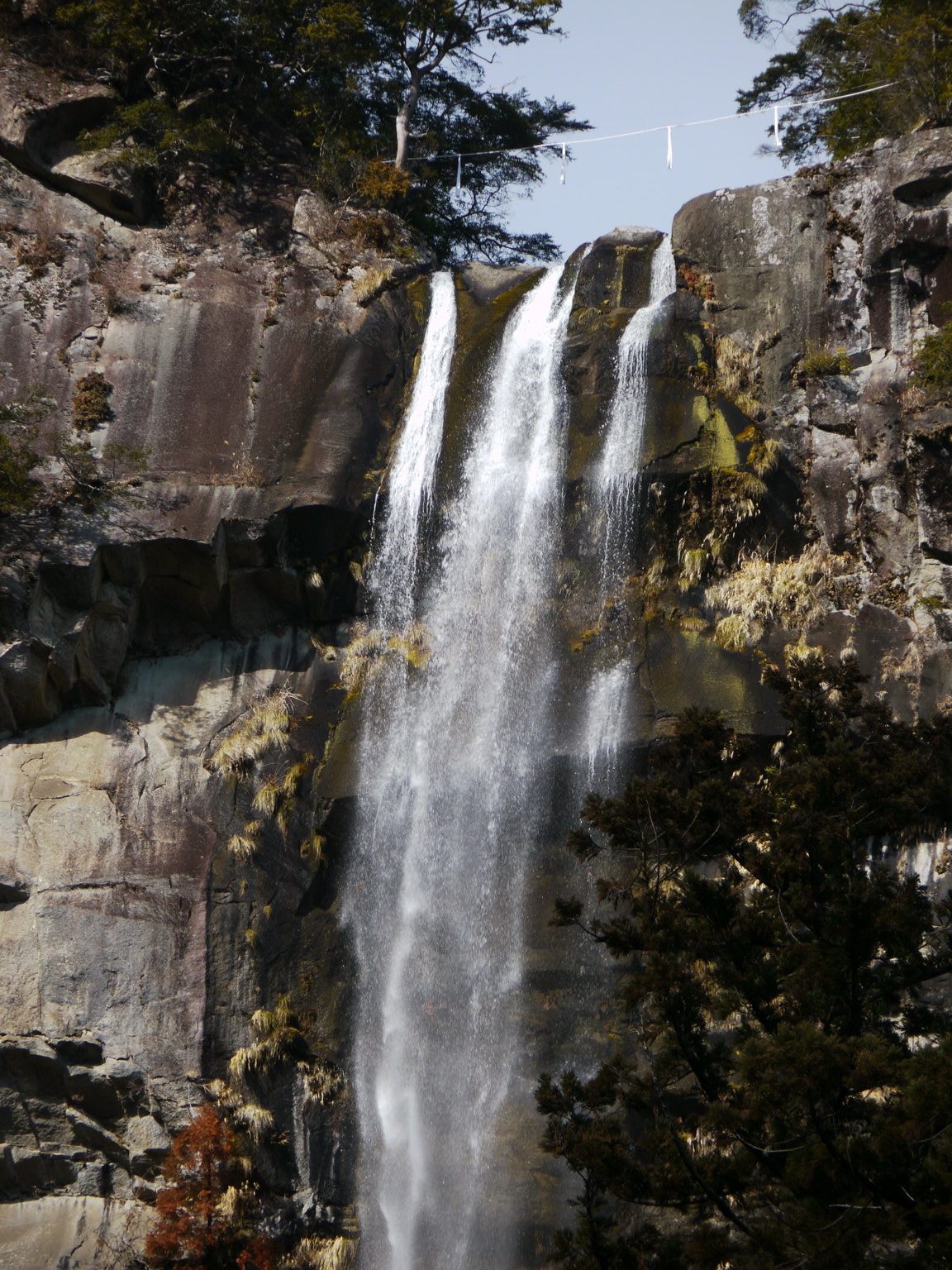 b0190242_23535628.jpg