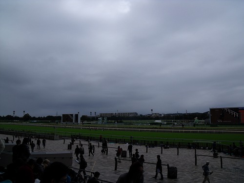 a0137643_20142686.jpg