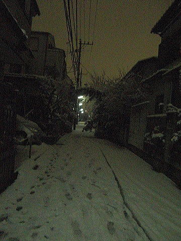 f0094843_20202594.jpg