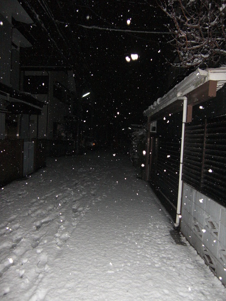 f0094843_20295018.jpg