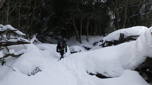 c0042847_17104133.jpg