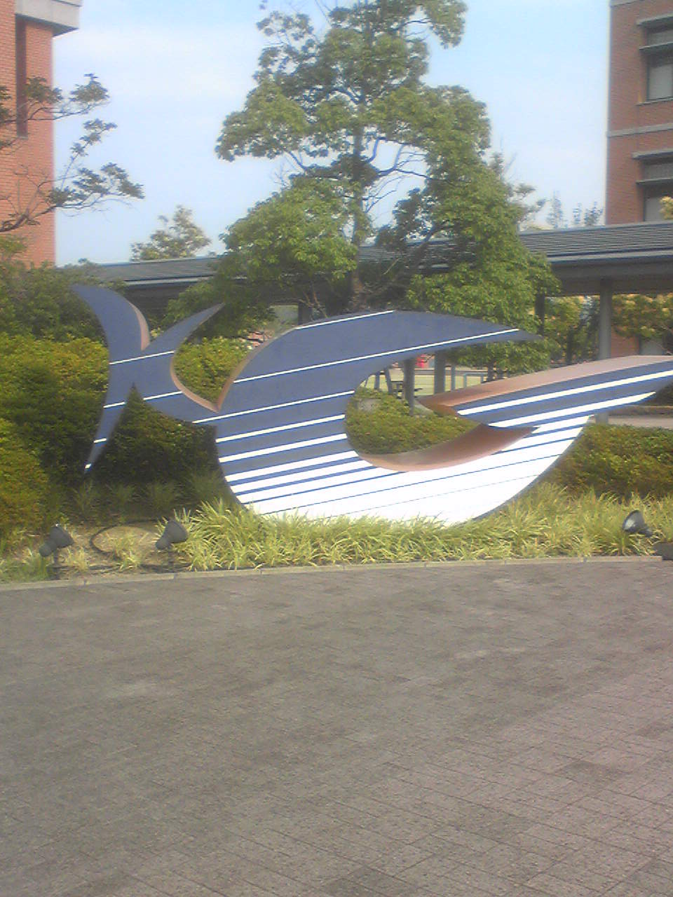 b0167549_14512090.jpg