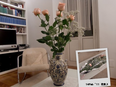 c0206352_6535112.jpg