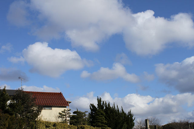 f0108553_19372357.jpg
