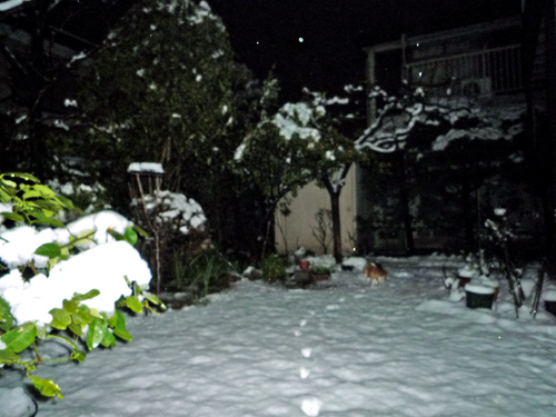 b0045357_840338.jpg