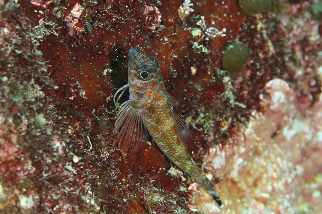 a0079659_14544355.jpg