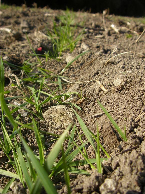 e0181260_2026329.jpg