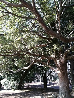 f0223360_0212844.jpg