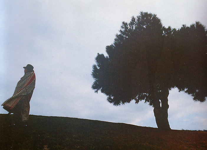 f0134963_13415737.jpg