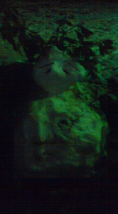 c0123890_2055065.jpg
