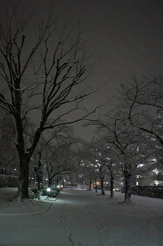 b0155793_2231020.jpg