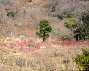 c0151898_21275447.jpg