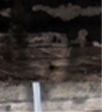 e0103408_13312629.jpg