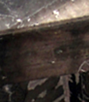 e0103408_13323255.jpg