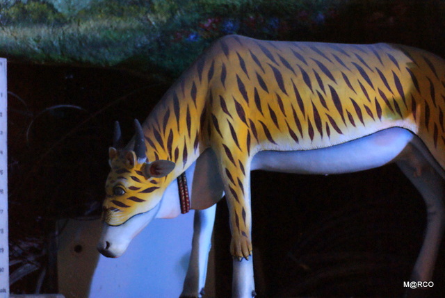 c0037611_220915.jpg