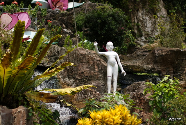 c0037611_2282724.jpg