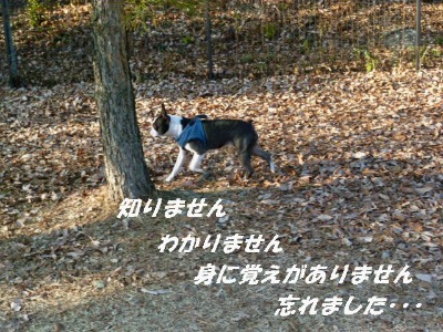 e0214712_13185767.jpg