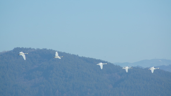 f0233414_22331384.jpg