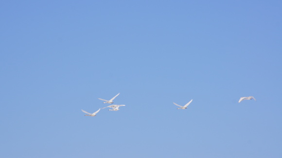 f0233414_22341030.jpg