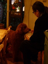 f0041115_5321432.jpg