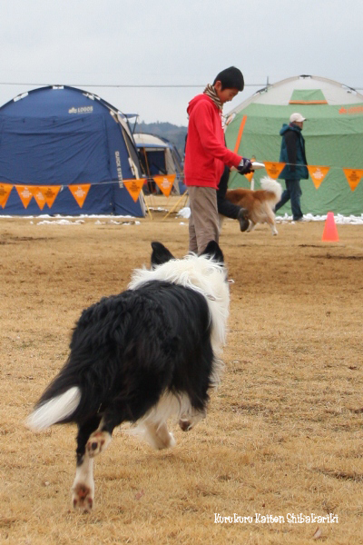 f0029717_21424734.jpg
