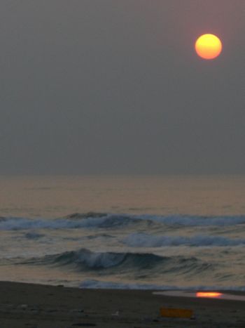 c0152123_20334723.jpg