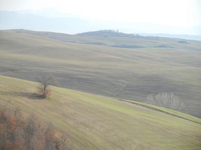 b0129725_2210764.jpg