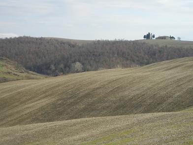 b0129725_2234561.jpg