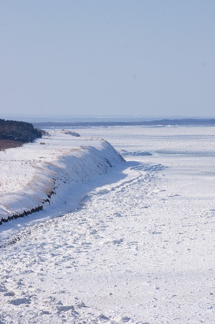 f0046128_0461443.jpg