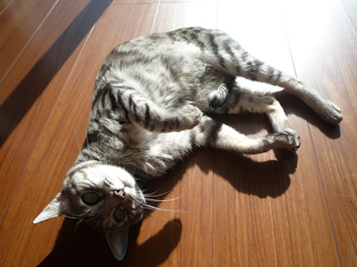 c0125532_11461711.jpg